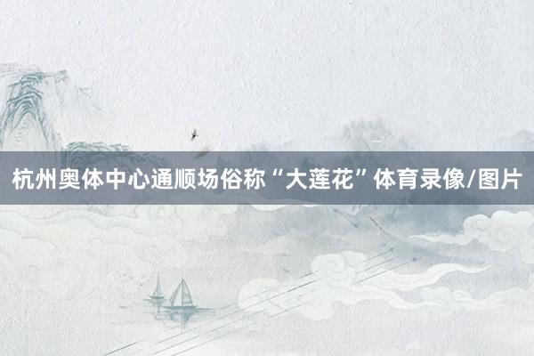 杭州奥体中心通顺场俗称“大莲花”体育录像/图片