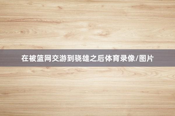 在被篮网交游到骁雄之后体育录像/图片