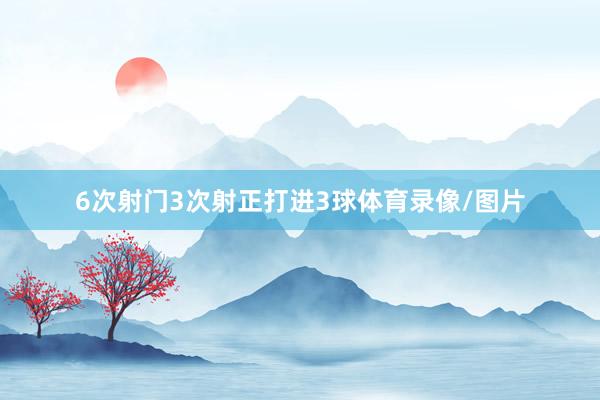 6次射门3次射正打进3球体育录像/图片