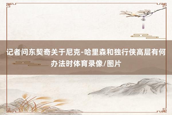 记者问东契奇关于尼克-哈里森和独行侠高层有何办法时体育录像/图片