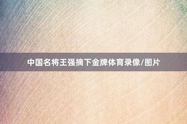 中国名将王强摘下金牌体育录像/图片