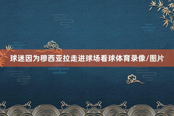球迷因为穆西亚拉走进球场看球体育录像/图片
