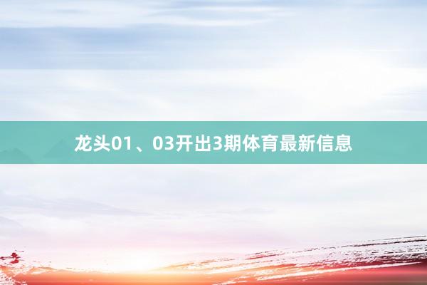 龙头01、03开出3期体育最新信息