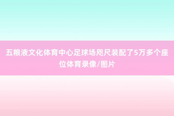 五粮液文化体育中心足球场咫尺装配了5万多个座位体育录像/图片