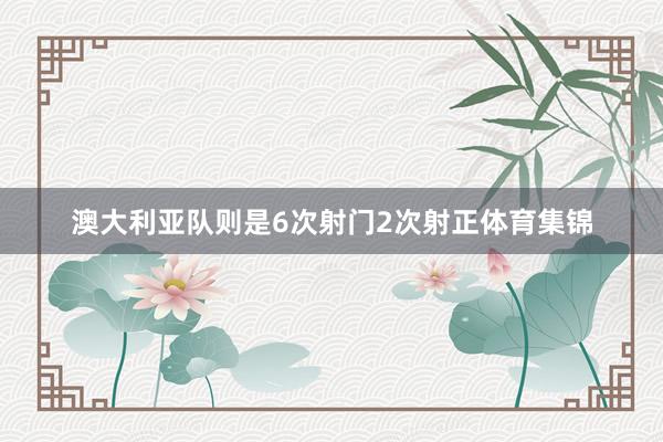 澳大利亚队则是6次射门2次射正体育集锦