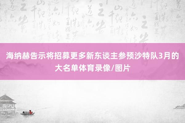 海纳赫告示将招募更多新东谈主参预沙特队3月的大名单体育录像/图片