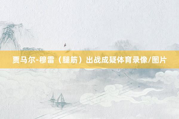 贾马尔-穆雷（腿筋）出战成疑体育录像/图片