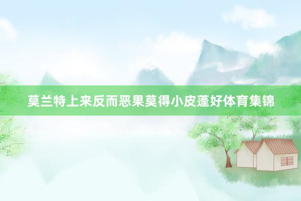 莫兰特上来反而恶果莫得小皮蓬好体育集锦