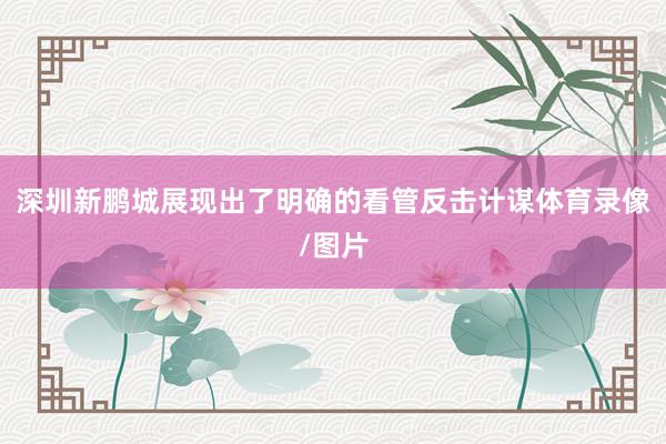 深圳新鹏城展现出了明确的看管反击计谋体育录像/图片