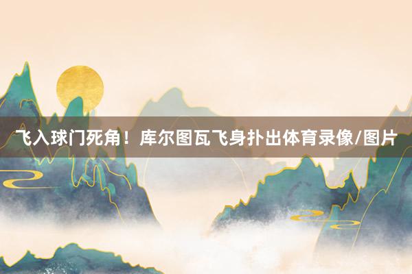 飞入球门死角！库尔图瓦飞身扑出体育录像/图片