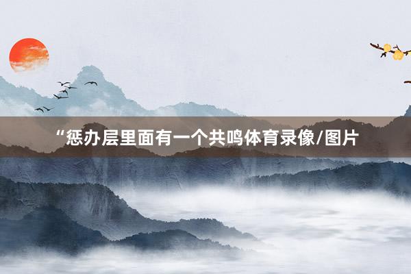 “惩办层里面有一个共鸣体育录像/图片