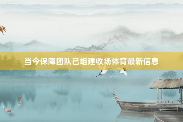 当今保障团队已组建收场体育最新信息