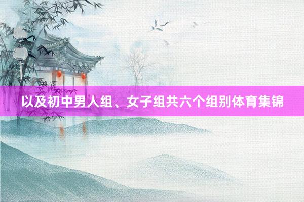 以及初中男人组、女子组共六个组别体育集锦