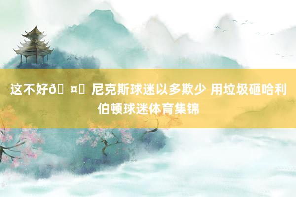 这不好🤕尼克斯球迷以多欺少 用垃圾砸哈利伯顿球迷体育集锦