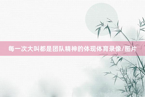 每一次大叫都是团队精神的体现体育录像/图片