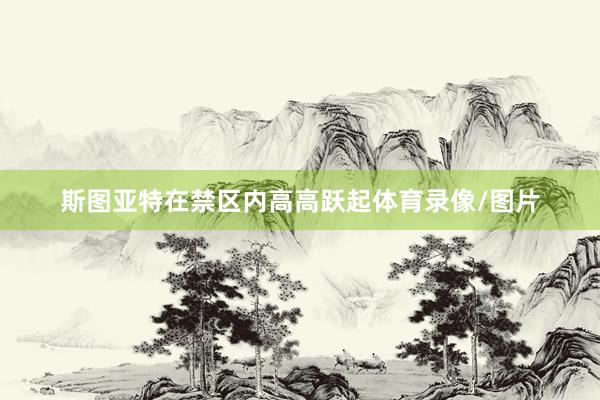 斯图亚特在禁区内高高跃起体育录像/图片