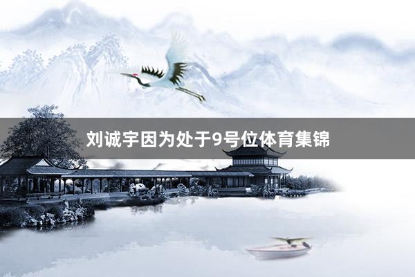 刘诚宇因为处于9号位体育集锦