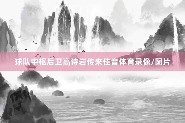 球队中枢后卫高诗岩传来佳音体育录像/图片