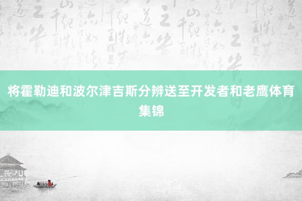 将霍勒迪和波尔津吉斯分辨送至开发者和老鹰体育集锦