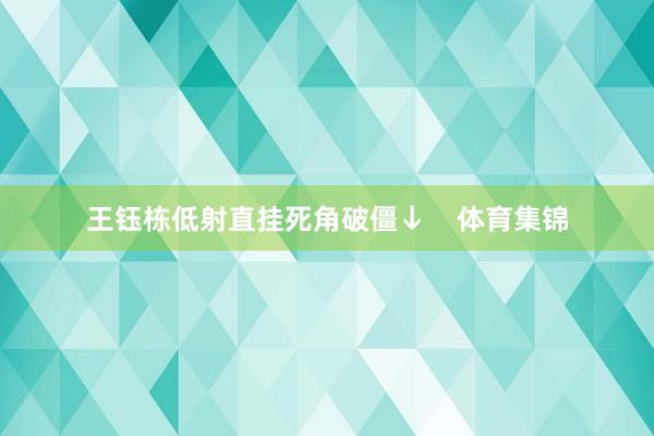 王钰栋低射直挂死角破僵↓    体育集锦