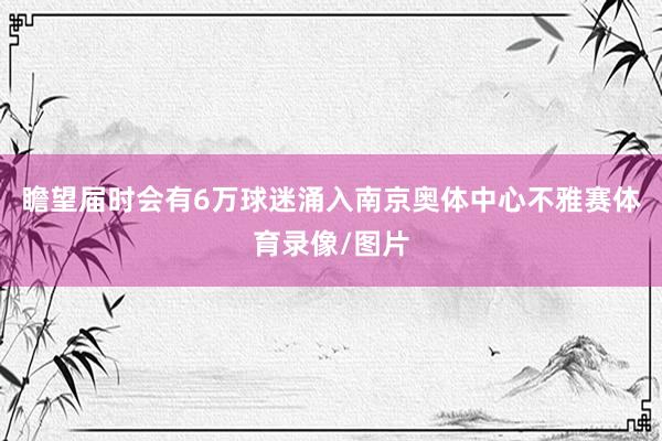 瞻望届时会有6万球迷涌入南京奥体中心不雅赛体育录像/图片