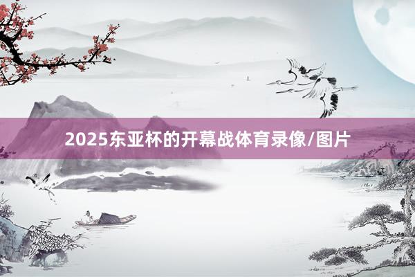 2025东亚杯的开幕战体育录像/图片