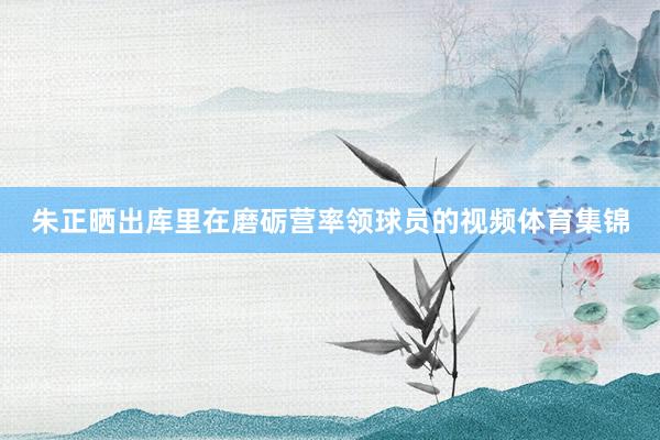 朱正晒出库里在磨砺营率领球员的视频体育集锦