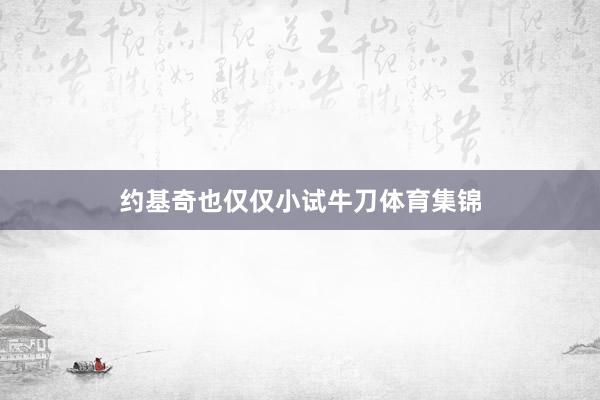 约基奇也仅仅小试牛刀体育集锦