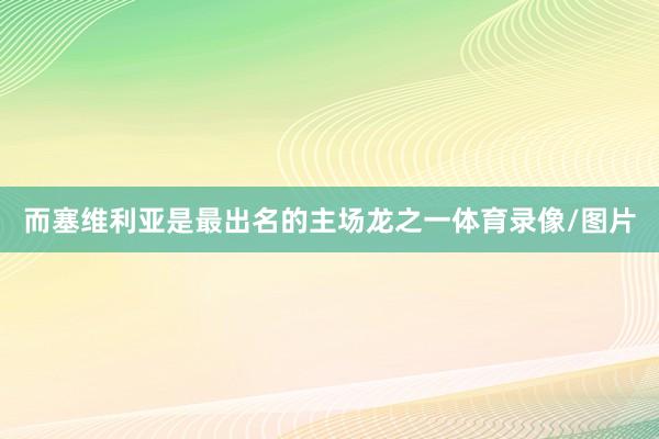 而塞维利亚是最出名的主场龙之一体育录像/图片
