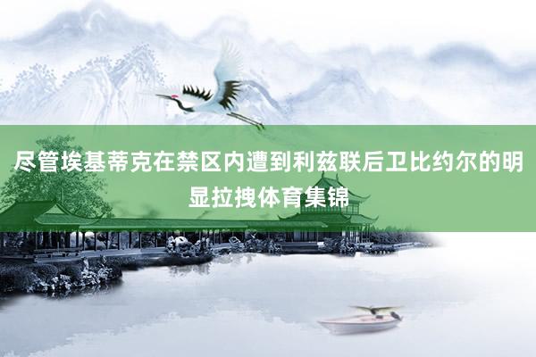 尽管埃基蒂克在禁区内遭到利兹联后卫比约尔的明显拉拽体育集锦