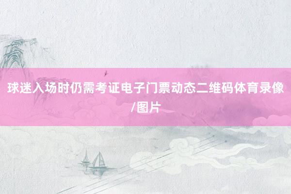 球迷入场时仍需考证电子门票动态二维码体育录像/图片