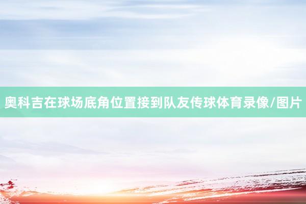 奥科吉在球场底角位置接到队友传球体育录像/图片
