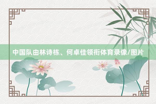 中国队由林诗栋、何卓佳领衔体育录像/图片