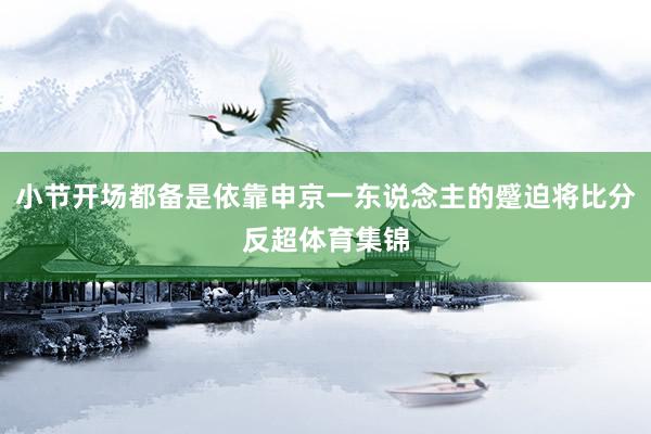 小节开场都备是依靠申京一东说念主的蹙迫将比分反超体育集锦