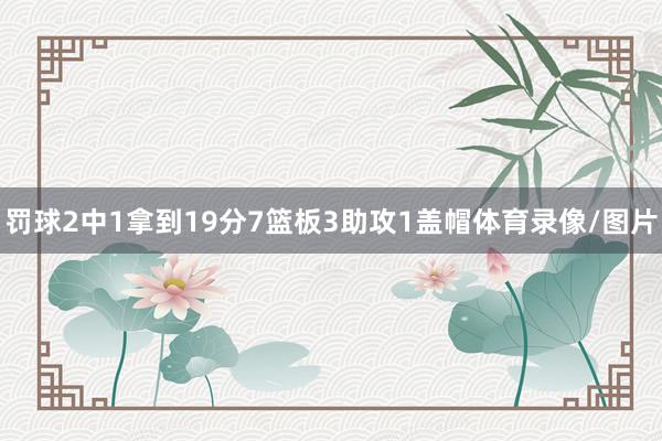 罚球2中1拿到19分7篮板3助攻1盖帽体育录像/图片