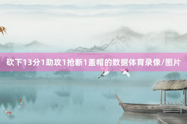 砍下13分1助攻1抢断1盖帽的数据体育录像/图片