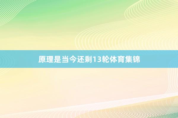 原理是当今还剩13轮体育集锦
