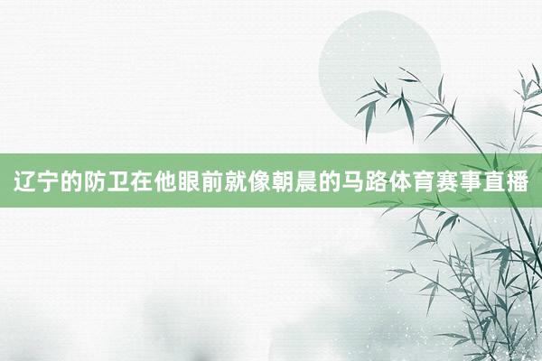 辽宁的防卫在他眼前就像朝晨的马路体育赛事直播