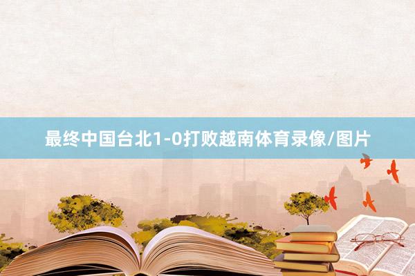 最终中国台北1-0打败越南体育录像/图片