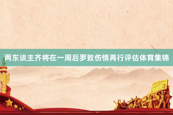 两东谈主齐将在一周后罗致伤情再行评估体育集锦