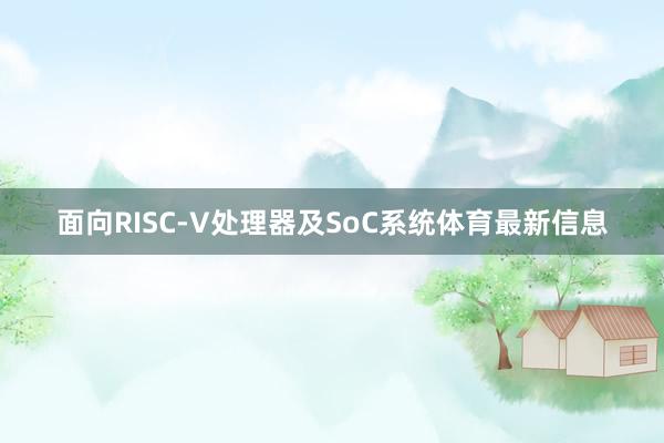 面向RISC-V处理器及SoC系统体育最新信息
