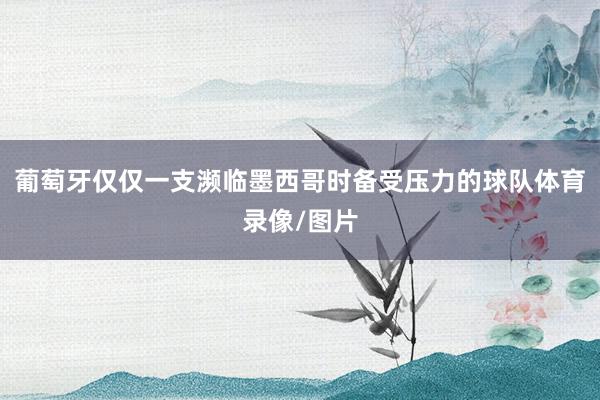 葡萄牙仅仅一支濒临墨西哥时备受压力的球队体育录像/图片