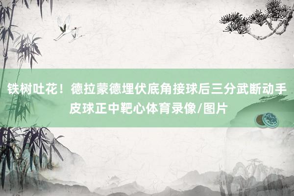 铁树吐花！德拉蒙德埋伏底角接球后三分武断动手 皮球正中靶心体育录像/图片