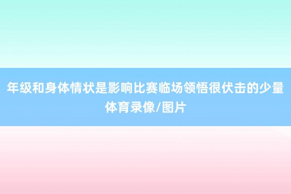 年级和身体情状是影响比赛临场领悟很伏击的少量体育录像/图片