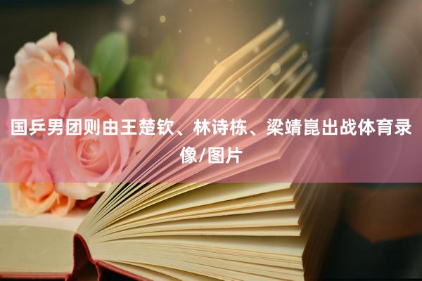 国乒男团则由王楚钦、林诗栋、梁靖崑出战体育录像/图片