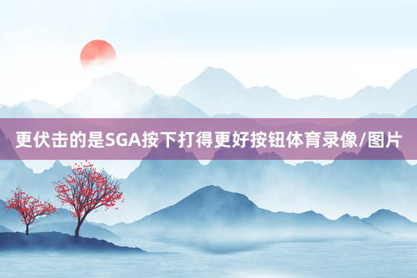 更伏击的是SGA按下打得更好按钮体育录像/图片