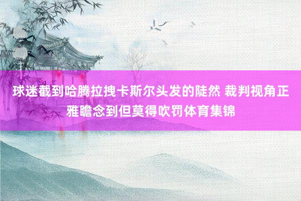 球迷截到哈腾拉拽卡斯尔头发的陡然 裁判视角正雅瞻念到但莫得吹罚体育集锦