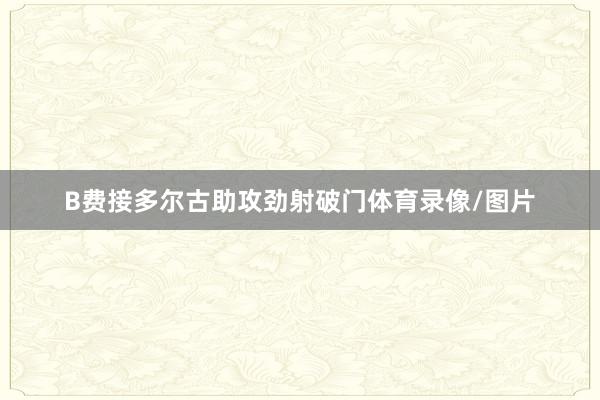 B费接多尔古助攻劲射破门体育录像/图片