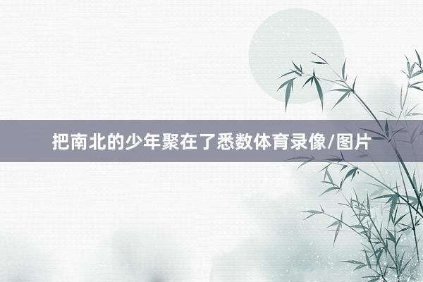 把南北的少年聚在了悉数体育录像/图片