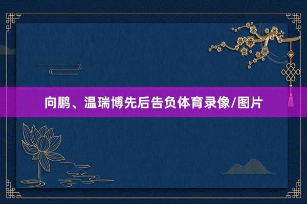 向鹏、温瑞博先后告负体育录像/图片